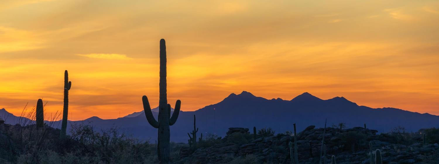 Tucson Security Dealers and Installers